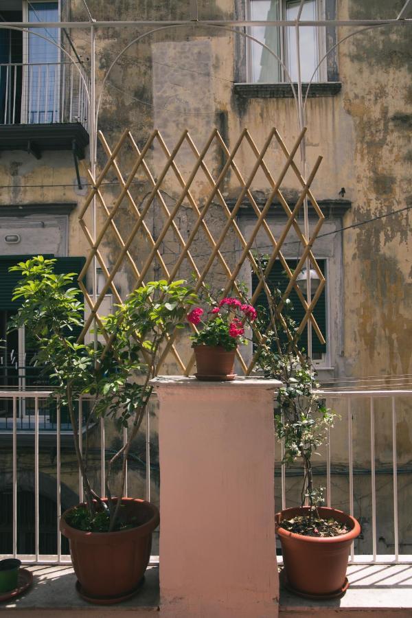 La Casa Del Nespolo, 2 Terrazzi E 2 Bagni In Centro Leilighet Napoli Eksteriør bilde