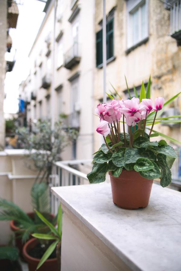 La Casa Del Nespolo, 2 Terrazzi E 2 Bagni In Centro Leilighet Napoli Eksteriør bilde